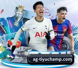 五大服务分区,信息按项目分类 | AGAPP