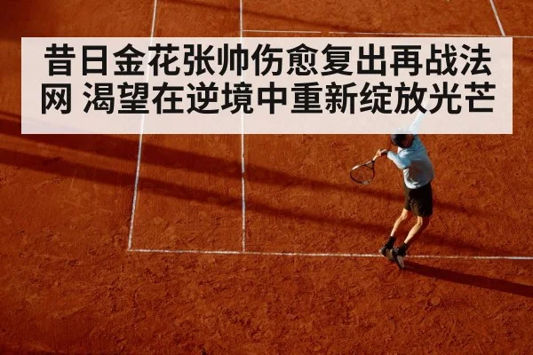 昔日金花张帅伤愈复出再战法网 渴望在逆境中重新绽放光芒