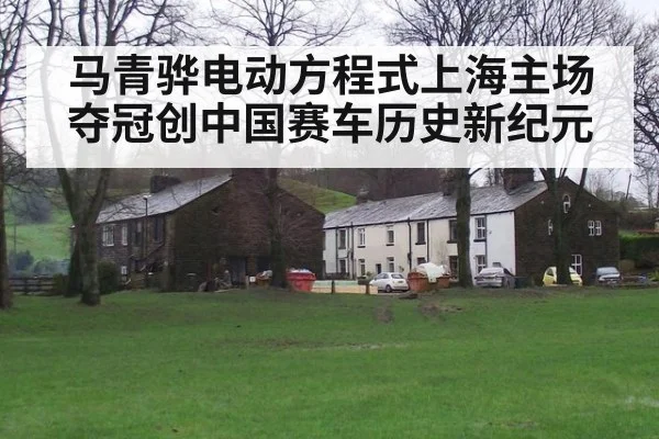 马青骅电动方程式上海主场夺冠创中国赛车历史新纪元